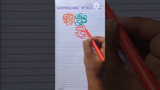 Haemoglobin Structure Proper viral shorts youtubeshorts neet biology drawing shortvideo [upl. by Plossl426]