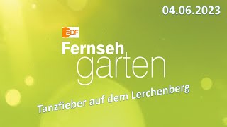 ZDF Fernsehgarten 04062023  Tanzfieber auf dem Lerchenberg Discofox amp mehr Ganze Sendung [upl. by Aneri]