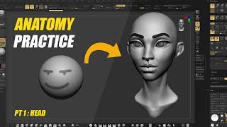 Anatomy Practice in Zbrush  Female Head Stylized [upl. by Winston]