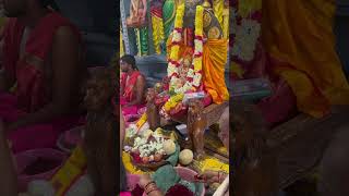 LAKSHA KUMKUMAPUJA SREE KAMAKSHI TAI AMMAVARI KIJANNAWADA [upl. by Aret]