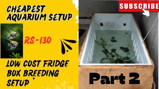 Low Budget Aquarium setup under 130RsHow to Make Fridge Box Aquarium Setup with Plants 🌱🌱Part 2 [upl. by Aroel]