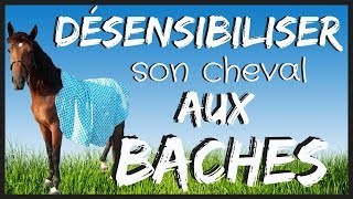 PrédébourrageDésensibilisation du cheval à la bâche et aux sacs 🎓🐴 [upl. by Holzman]