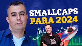 As Melhores SMALL CAPS para 2024 AÇÕES BARATAS e PROMISSORAS [upl. by Eilak]