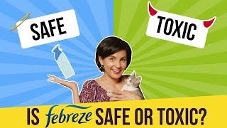 Is Febreze Safe or Toxic [upl. by Colis]