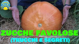 ZUCCHE FAVOLOSE TUTORIAL TRUCCHI E SEGRETI CUCURBITA MAXIMA MOSCHATA E LAGENARIA [upl. by Mittel]