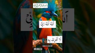 Pareshani ki dua shortsfeed wazifa dua shorts [upl. by Laeahcim960]