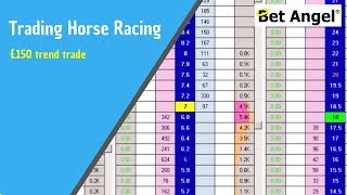 Peter Webb Bet Angel  Betfair trading on Racing  £150 trend trade [upl. by Necyla]