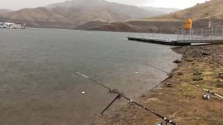 Fishing for carp  kaweah Lake [upl. by Epolenep]