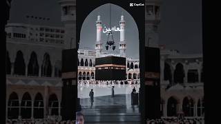 MASHA ALLAH ❤️😍shortfeed trendingshorts explore viralvideos ytshorts urdu viralvideos [upl. by Magdalene]