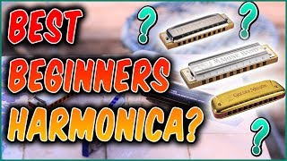 The Best Harmonica for Beginners [upl. by Alleuqahs530]