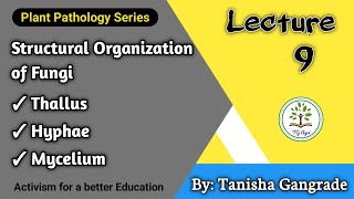 Fungal Cell  Structural Organisation of Fungi  Thallus  Hyphae  Mycelium by Tanisha Gangrade [upl. by Mannuela]