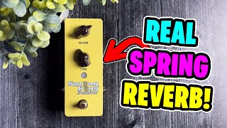 Danelectro Spring King Junior Reverb Pedal [upl. by Aidnahs650]