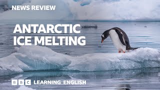 Antarctic ice melting BBC News Review [upl. by Suoinuj]