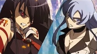 Amv Akame vs Esdeath [upl. by Valery]