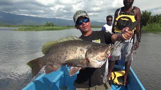 Papuan Black Bass fishing part3 with Gong Lei [upl. by Artemus399]