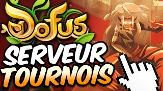 DOFUS Serveur Tournois  Le TUTO COMPLET [upl. by Beaufert]