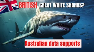 AUSSIE Tag data supports viability of BRITISH GREAT WHITE SHARKS 🦈 [upl. by Kramlich132]