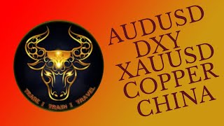 1st Nov DXY GOLD SILVER AUDUSD COPPER USDCHN [upl. by Arakihc69]