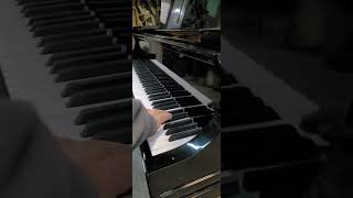 Heintzman baby grand  like new [upl. by Ressay]