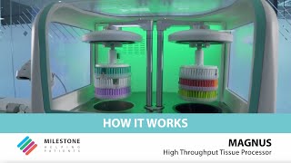 MAGNUS High Throughput Tissue Processor – How it works [upl. by Eyde]