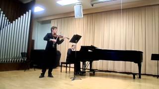 Beethoven Sonata No5 for violin and piano 1st Mvt [upl. by Gnaw]