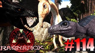 ARK Ragnarok 114  Deinonycanis zähmen den Macrauchenia amp ein High LVL Ravager  LP Ark Deutsch [upl. by Oramlub]