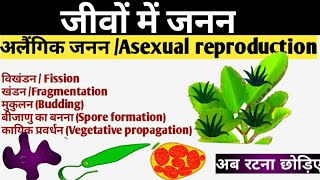 अलैंगिक जनन क्या है  अलैंगिक जनन के प्रकार Asexual Reproduction In Hindi  Asexual Reproduction [upl. by Amrac]