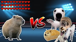 Giant Capybara vs All Dogs Meme battle [upl. by Kallman]