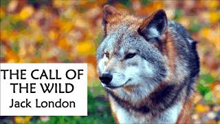 THE CALL OF THE WILD by Jack London  FULL Audiobook Chapter 4 [upl. by Ailero611]