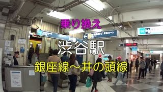 【乗り換え】渋谷駅 銀座線～京王井の頭線 [upl. by Sandler]