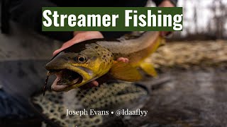 HOW TO FLY FISH STREAMERS FULL PRESENTATION [upl. by Susumu]