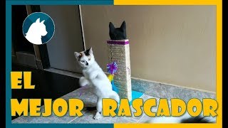 🐈 Rascador Para gatos Casero fácil 🐾 Paso a Paso 😺 [upl. by Sinned]