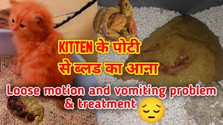 Kitten Loose motion treatment  blood in kitten stool  how to treat a kitten poop  Loose motion [upl. by Aneelahs]