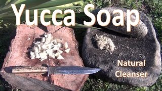 How to Make Yucca Soap Primitive [upl. by Hoffmann]