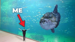 LARGEST AQUARIUM IN NORTH EUROPE  Private Tour [upl. by Noiztneb]