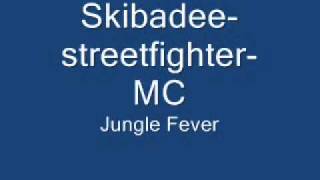 SkibadeestreetfighterMC [upl. by Anak]