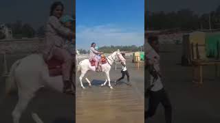 pakhiraj ghora viralclips viral video please subscribe [upl. by Cirek]