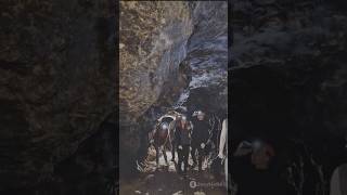 Unveiling the Secrets of the Lascaux Caves [upl. by Chaffee702]