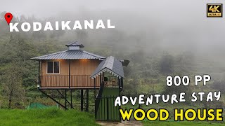 WOOD HOUSE 🏠Kodaikanal Resorts in Tamil  Couple Stay  Family Friends  Best resort zvlogzz [upl. by Prochora]