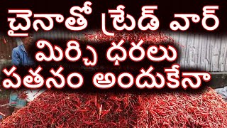 మిర్చి ధరలు పెరుగుతాయా gunturmirchimarketreport Teja Mirchi Rate Khammam Mirchi Price Report [upl. by Euv]