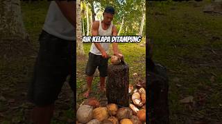 Air Kelapa dikasih wadah penampung kelapa [upl. by Hako258]