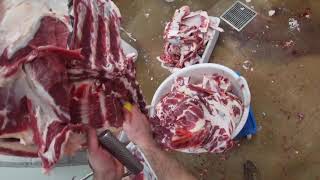 Breaking a Forequarter of Beef [upl. by Sherl]