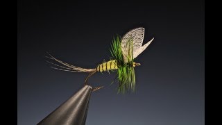 Tying the Yellow mayfly Dun with Barry Ord Clarke [upl. by Mosier]