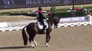 EM 2013 Charlotte Dujardin GBR Valegro Freestyle [upl. by Ahsiekyt]