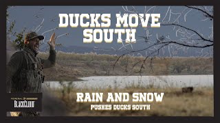 ICE and SNOW Push Ducks South  Duck Hunting Oklahoma  Black Cloud [upl. by Anilem]