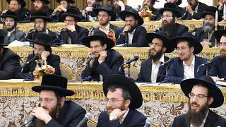 Shas Yiden Geonim Astound the Gedolim  AGAIN  כולל שquotס אידן שישי בעקבות הברכה של שר התורה [upl. by Ellehcear]