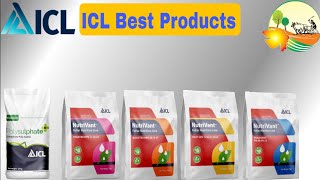 ICL All Product Result PolysulphateStarter BoosterFruitPeakvantSelect Boronate Calcium Nitrate [upl. by Sherill]