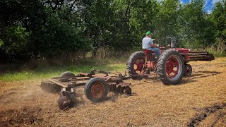 Farmall H pulling 10’ Massey Harris Disc [upl. by Petronella]