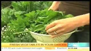 Annabel Langbein on Sunrise Garden to Kitchen Menu 2 Part 1 [upl. by Hcab251]