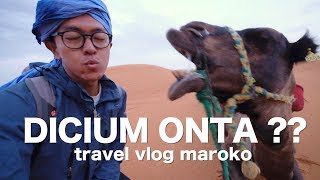 GURUN PASIR SAHARA DI MAROKO  TRAVEL VLOG 42 [upl. by Leunamnauj4]